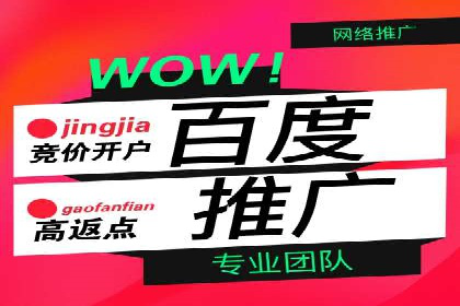百度推广平台操作技巧：案例解析，提升转化率